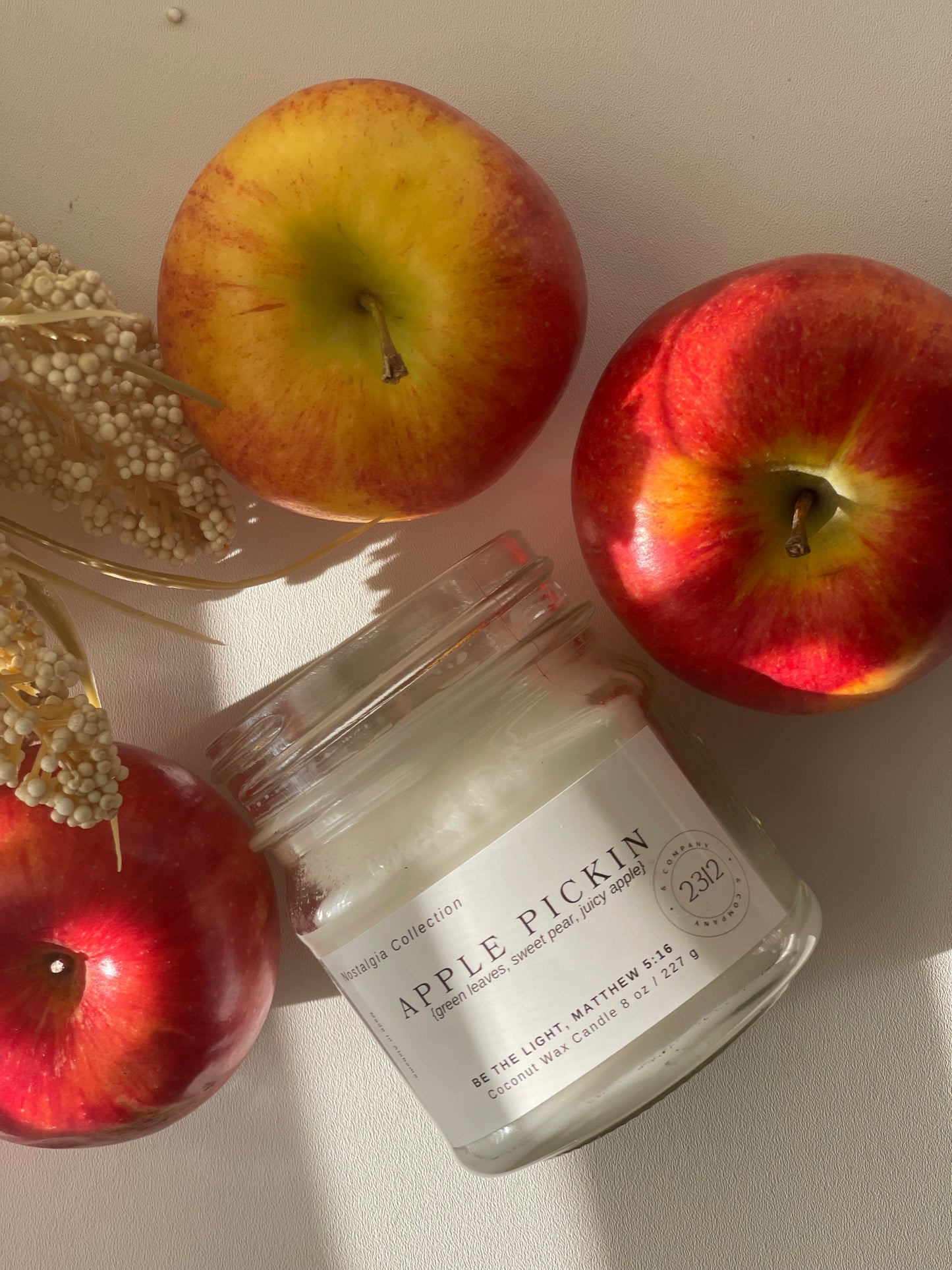 Apple Pickin | Gourmand Coconut Wax Candle | 8 oz